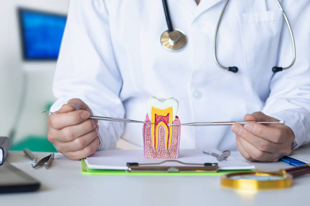 Best Walk-In Emergency Dentist in Pennsboro, WV